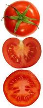 Image result for Tomate
