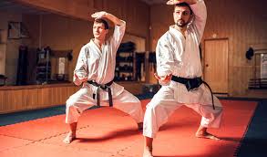 Image result for GBMAA EPSOM AND LEATHERHEAD MARTIAL ARTS ACADEMY