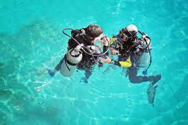 Image result for innerspace divers