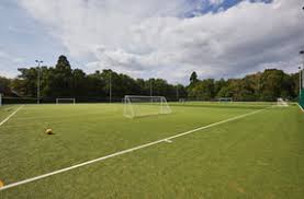 Image result for Frensham Football Club