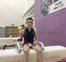 Image result for South Essex Gymnastics Club