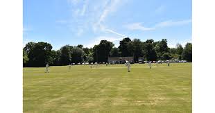 Image result for Tendring Cricket Club