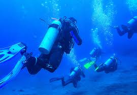 Image result for Halton Sub Aqua Club