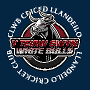 Image result for Carmarthen Wanderers Cricket Club