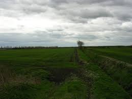 Image result for Irlam Cc