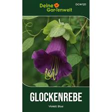 Image result for Glockenrebe