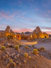 Image result for mars trees