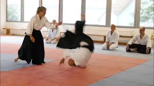 Image result for West Midlands Aikido Association Dojo