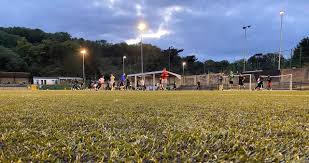 Image result for Whyteleafe Netball Club