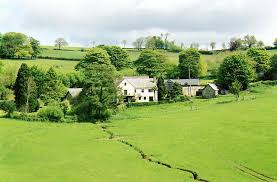 Image result for Dulverton Cc