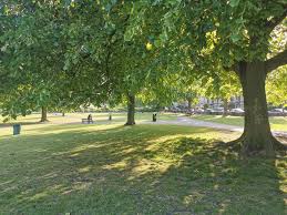 Image result for Bristol St Andrews Bowling Club Ltd