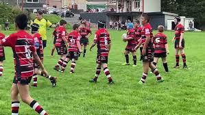 Image result for Llangennech Rfc