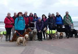 Image result for U3A Petersfield Scrabble Club