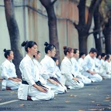 Image result for United Sport Karate