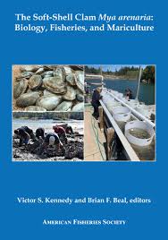 Attēlu rezultāti vaicājumam “Mya arenaria”