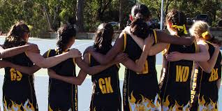 Image result for Verwood Town Netball Club