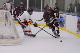 Image result for Demons Skater Hockey Club