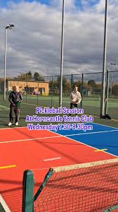 Image result for Horncastle Badminton Club