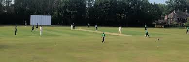 Image result for Three Bridges Cricket Club