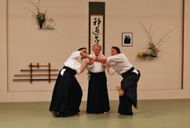 Image result for Aikido - Takama Hara Aikido Dojo
