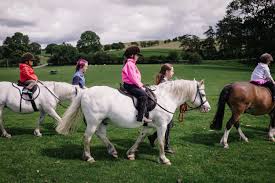 Image result for Shey Copse Riding Centre