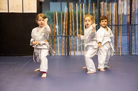 Image result for Martial Arts Karate Mesa AZ