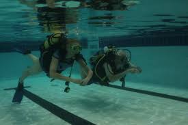 Image result for Meadurst Sub-Aqua Club