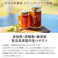 「蜂谷ミツヒサ」の画像検索結果