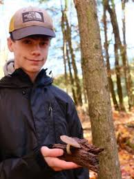 Attēlu rezultāti vaicājumam “Enerthenema papillatum young”
