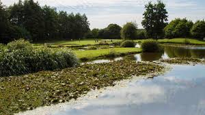Image result for Hurtmore Golf Club