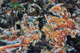 Attēlu rezultāti vaicājumam “Leucogyrophana mollusca”