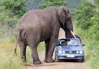 Kruger National Park | heavenspot.