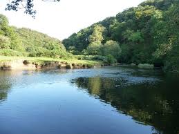 Image result for Dulverton Cc