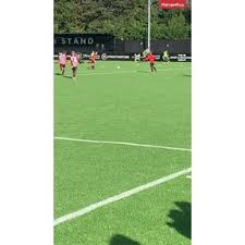 Image result for Mayford Athletic Football Club