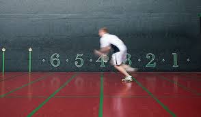 Image result for The Royal Tennis Court