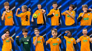 Image result for Afc Ewell