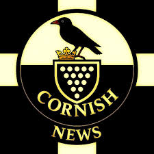 Image result for Carn Brea Karate Kai