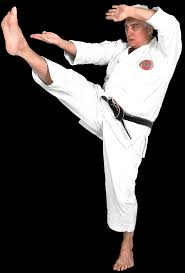 Image result for Reading Karate-Do Shotokai