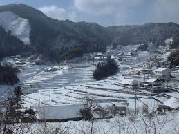 Image result for tanada