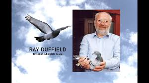 Image result for Abbeyton & Broomfield Racing Pigeons