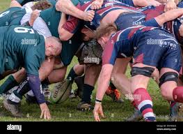 Image result for Old Patesians Rfc