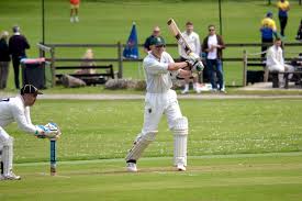 Image result for Cornwood Cricket Club