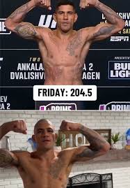 Image result for Chiltern MMA