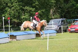 Image result for Stoneleigh Riding Club