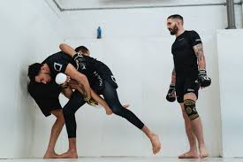 Image result for Martial Arts London