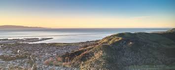 Image result for Nelson Cc