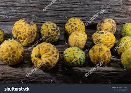 Attēlu rezultāti vaicājumam “Fruticola fruticum”