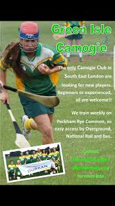 Image result for Green Isle Camogie Club - Players Wanted!