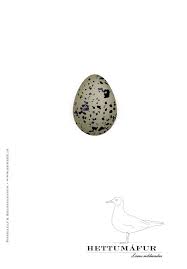 Attēlu rezultāti vaicājumam “Larus ridibundus eggs”