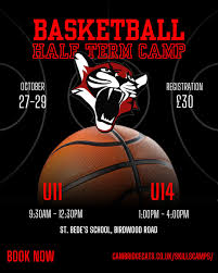 Image result for Cambridge Cats Basketball Club